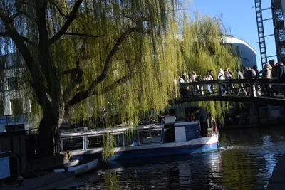 DSC_6840 (Large).JPG